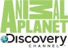 Discovery Animal.jpg